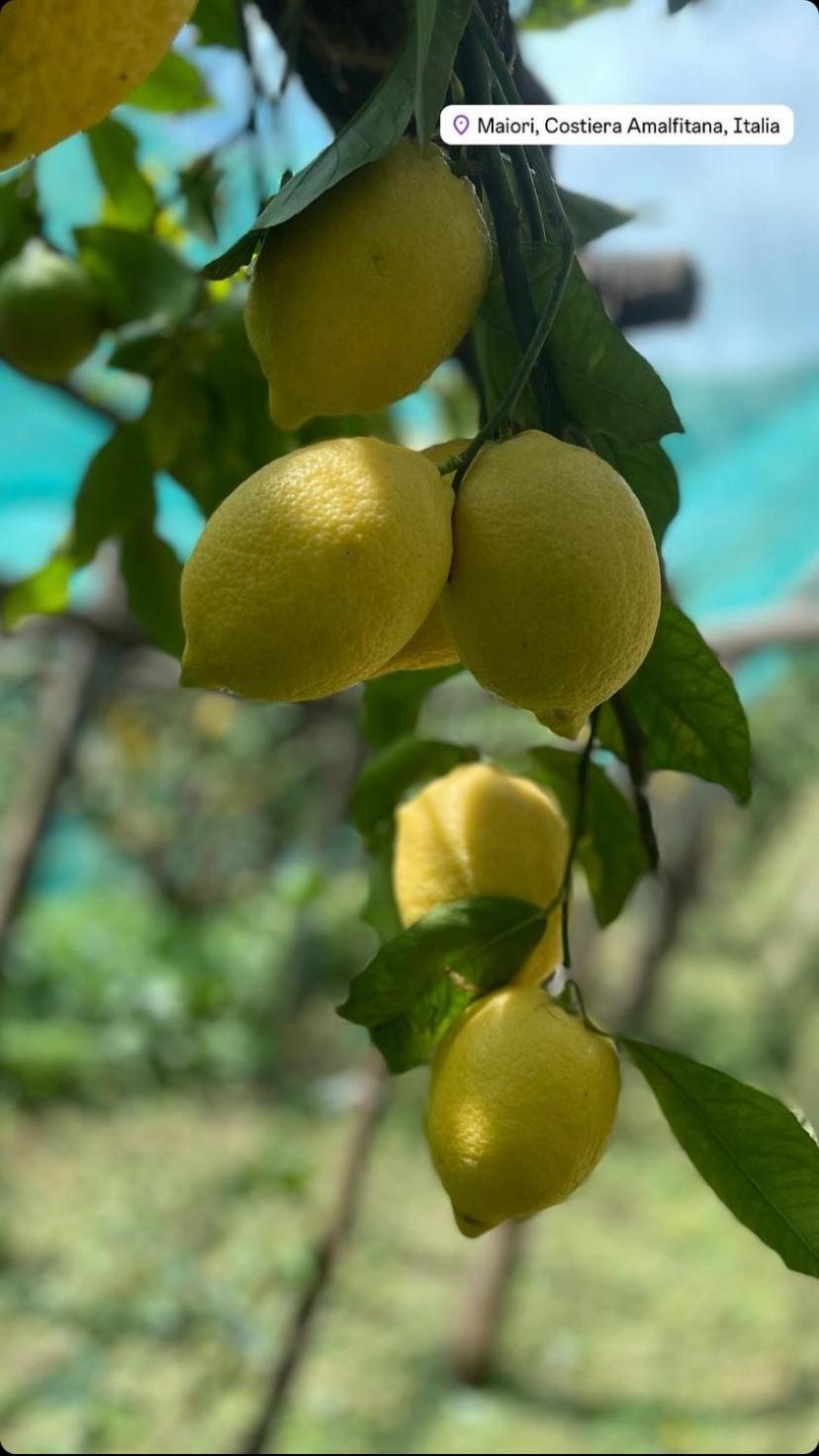 Il Giardino Dorato Villa Maiori Ngoại thất bức ảnh